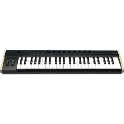 Korg Keystage 49-key MIDI Keyboard Controller, Tascam TH02, (2) 1/4 Cables Bundle image 2