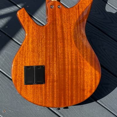 Citron AE-4 Swallow Bass 2009  - killer all around invention from Harvey Citron of Velette-Citron Basses. image 5