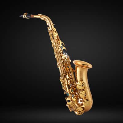 John Packer JP045G Eb Alto Saxophone w/Case, Gold Lacquer image 2