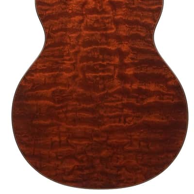 PRS Private Stock Tonare Grand 25th Ann The Tree 2014 image 4