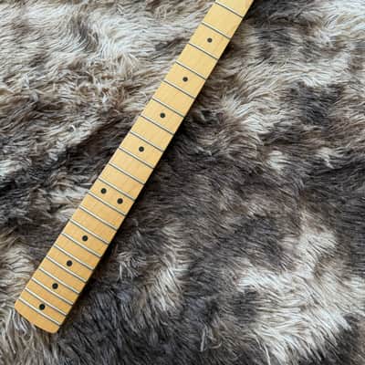 2017 Fender Standard Stratocaster 21-Fret Maple Neck with Tuners image 1