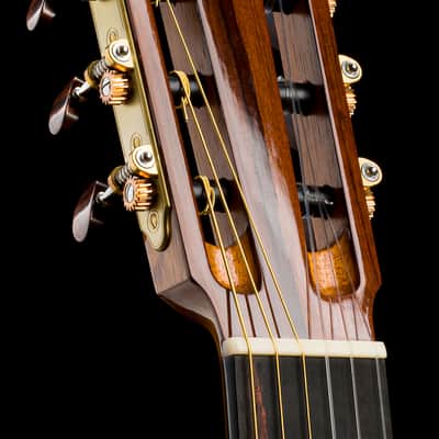 Lukas Sedlacek lattice classical guitar #92 image 12