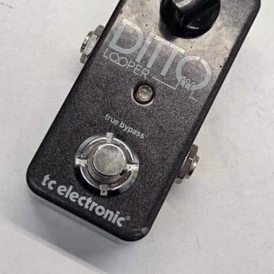T.C. Electronics Ditto Looper - GOLD (Limited Edition) | Reverb