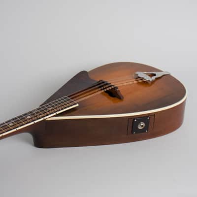 Vivi-Tone Hollow Body Electric Mandolin (1933), ser. #301, original black chipboard case. image 7