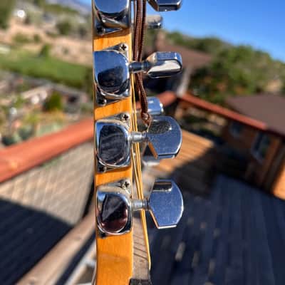 Dobro 10 string resonophonic guitar mid 70's - chrome image 4