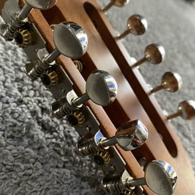 10 String Acoustic Electric Guitar, Solid Red Top Pine Body, Rosewood Fingerboard Neck image 5
