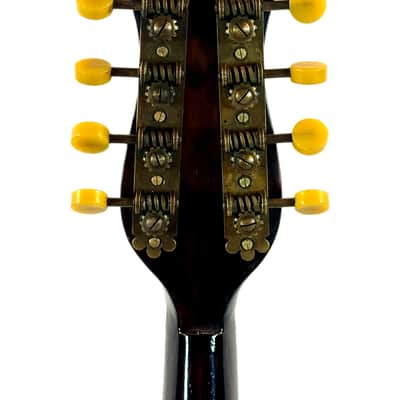 Concert Mandolin E. De Cristofaro 1930's image 15