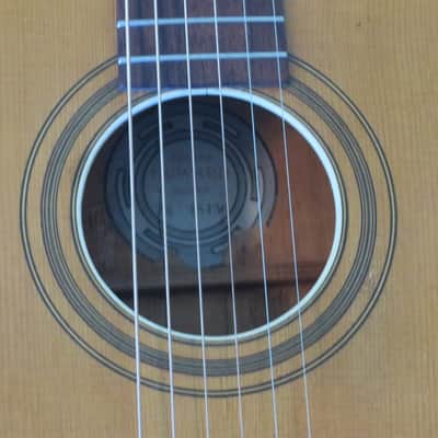 Eugene Howard Parlor Guitar 1890-1910 image 15