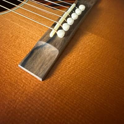 Bourgeois Touchstone SD Standard/TS 2025 - Sunburst image 4