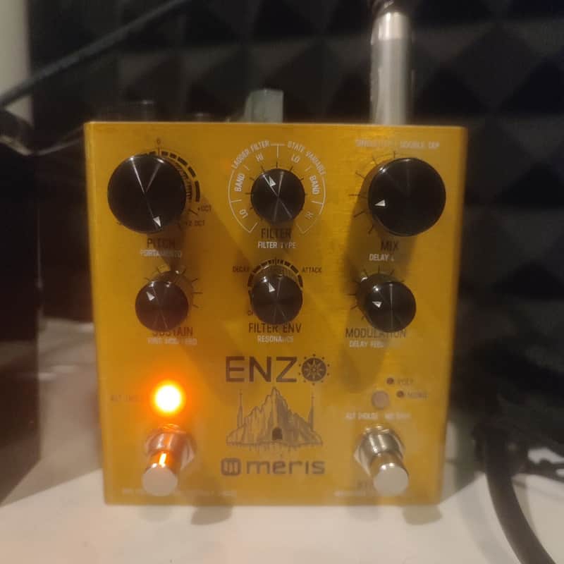 Meris Enzo