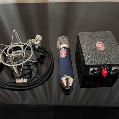 BeesNeez Microphones Mahalia image 2