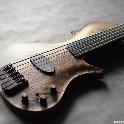 Stradi Symphony Stone 2016, STONE top, titanium frets, great sound and articulation image 2