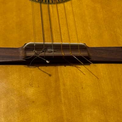 Vintage Giannini GN-60 Classical Guitar image 12