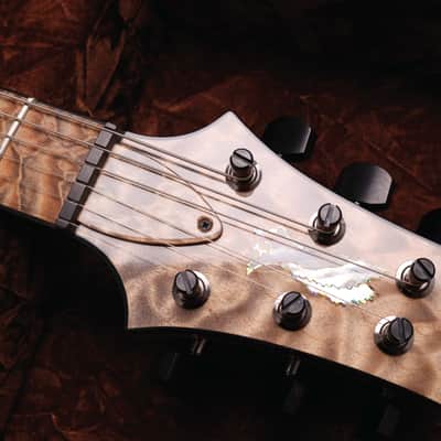 PRS RARE 2016 Private Stock DGT in Frostbite Fade w/Quilt Maple Top, Stained Quilt Maple Fretboard w/Ebony Binding, Flame Maple Neck, Swamp Ash Back with Matching Backplates, Black PRS Tremolo + Phase III Locking Tuners & MOP w/Paua Outline Bird Inlays image 7