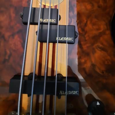 Alembic Elan 1989 walnut burl image 4