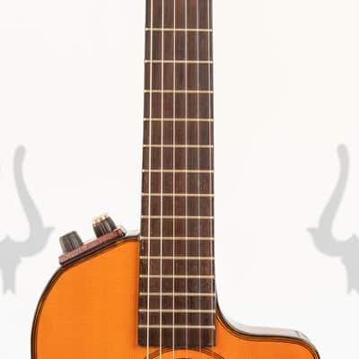 Daion DPC-999 Solid Body Acoustic / Classical 1983 Brown image 6