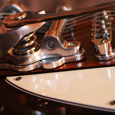 1999 Gibson Firebird V  Vintage Sunburst / Bigsby on Vibrate  / String spoiler / Banjo tuners image 12