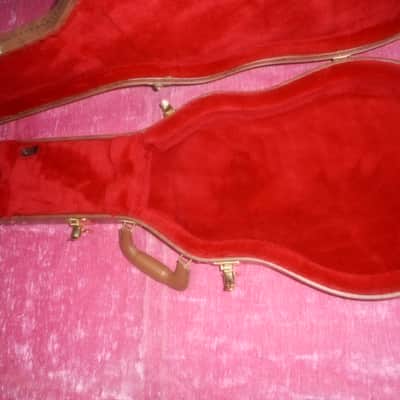 Canadian Made  Les Paul Special Double Cut New Mint image 5