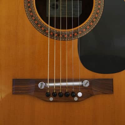 Epiphone 6830 - Kalamazoo 1971 - Vintage RARE label! image 14