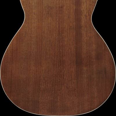 Ibanez PNB14E-OPN PN Performance Acoustic Bass 4-String - Open Pore Natural Mahogony image 13