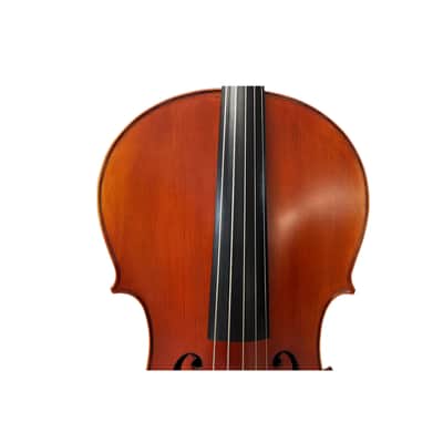 Rare Professional song maestro 5 Strings Cello 4/4, Stradivarius Model #15316 image 4