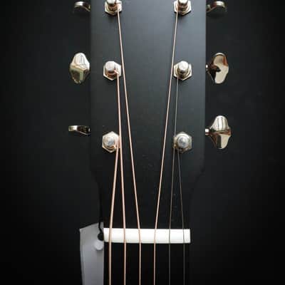 Eastman E1 D image 7