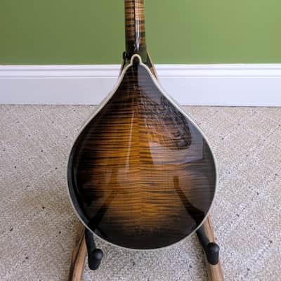 Northfield Mandolin NFMSP A5 2024 image 6