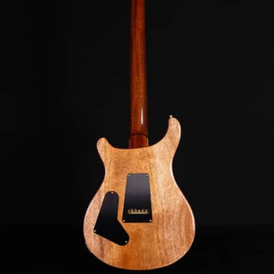 PRS Custom 24 Ten Top, Carroll Blue image 7