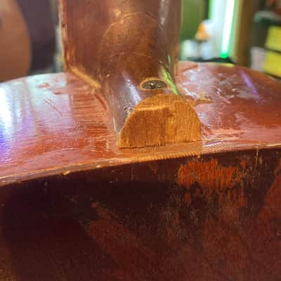 Unknown Octavina? Laud? Homemade? 14 String Instrument - Natural image 11
