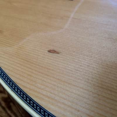 Alvarez Yairi DY57 1977 Spruce Top, Mahogany Back & Sides image 7