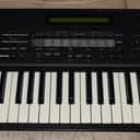 Roland XP-50 61-Key 64-Voice Music Workstation Keyboard 1995 - 1998 - Black
