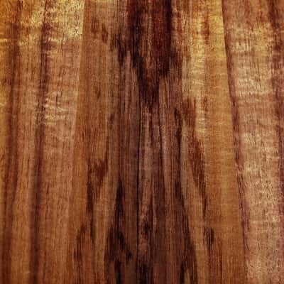 Taylor K24ce Next Generation Special Edition Grand Auditorium Acoustic-Electric Guitar – Select Hawaiian Koa image 11