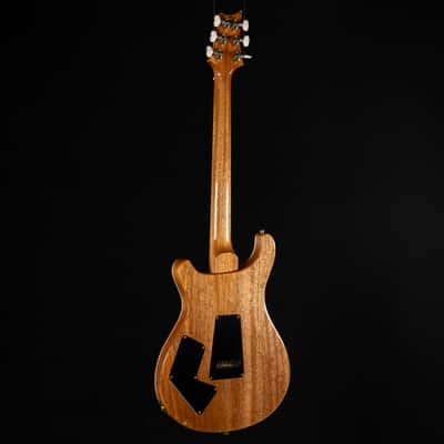 PRS Modern Eagle V 10-Top - Carroll Blue image 13