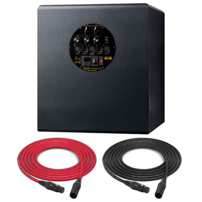 Unity Audio Avalanche MK-II DSP | Active Sub-Woofer | Pro Audio LA image 1