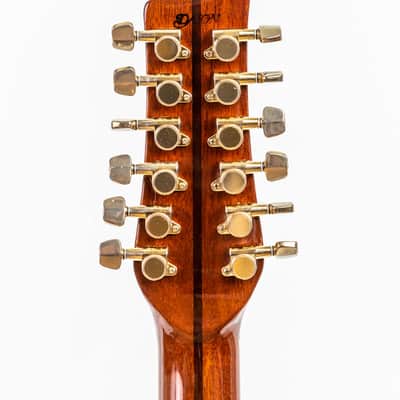 Daion Year Series '81 Gazelle / 12 String Electric Acoustic image 19