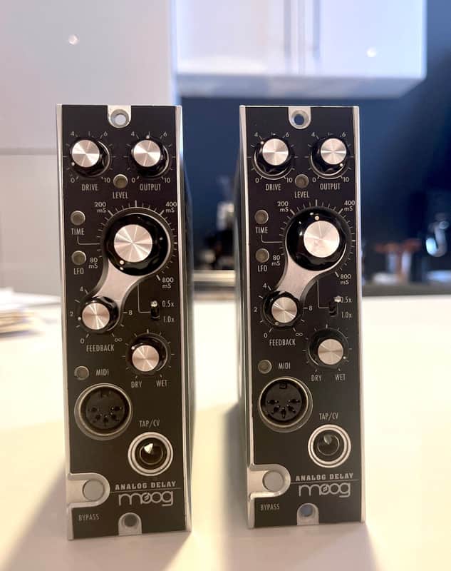 Moog Delay- 500 Series Analog Delay Module (1 of 2 available) image 1