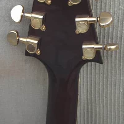 ALDEN Guitar Flyinf V Limit Edition 2000 image 3