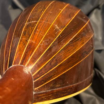 American conservatory Lyon & Healy Bowl Back mandolin - Early 1900s  - Brazilian Rosewood - All Org. - Great Player - Ships FREE!!! image 13