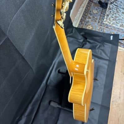 Johnson JAT-12- NA  ARCHTOP 1996 - Mint image 4