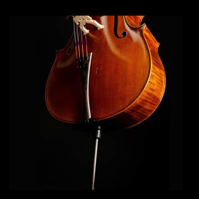 4/4 Size Handmade Professional Solid Wood Cello+Bag+Bow+Bridge image 4