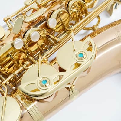 Yanagisawa A-WO2 [AWO2] Professional Alto Saxophone image 12
