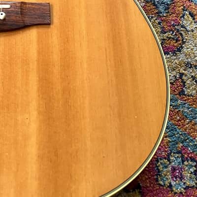 Takamine Dragon Series (ED-21C N) image 10