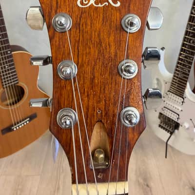 Roland G-303 1980’s - Walnut brown image 3