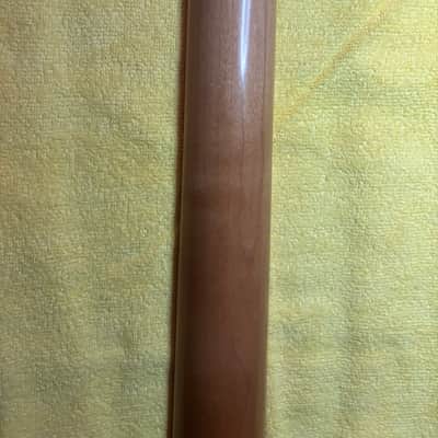 Ron Kirn USACG Tele Neck Texas Blues Profile image 11
