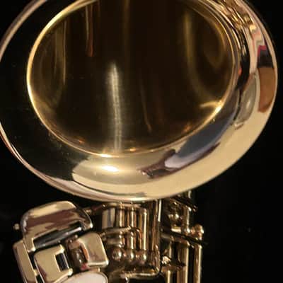Antigua Winds Alto saxophone with case great shape image 6