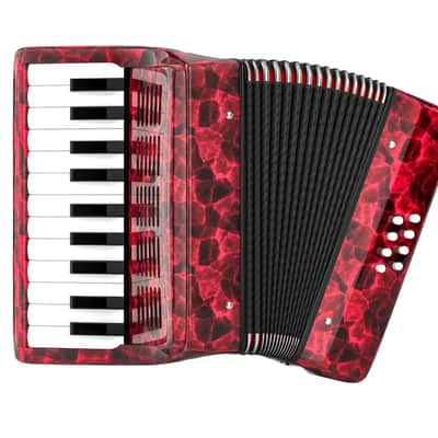 22-Key Piano Accordion with 8 Bass – Ideal Musical Instrument for Beginners image 2