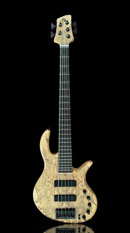 Elrick Basses EVO Gold 5 - Ambrosia Maple 2024 - Satin image 1