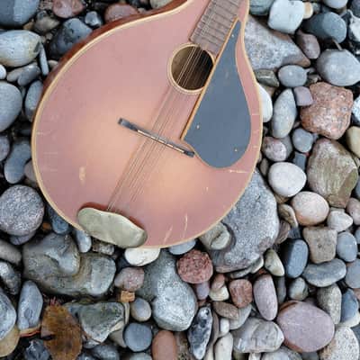 Otwin Mandola, Mandoline, Mandolin brownburst 1950 - 1960 image 5