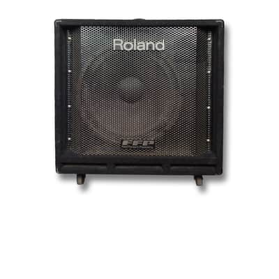 Roland DB-500 D-Bass 2-Channel 160-Watt 1x12