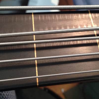 Lakland 55-94 Prototype Lightwave Fretless(one of a kind) image 10